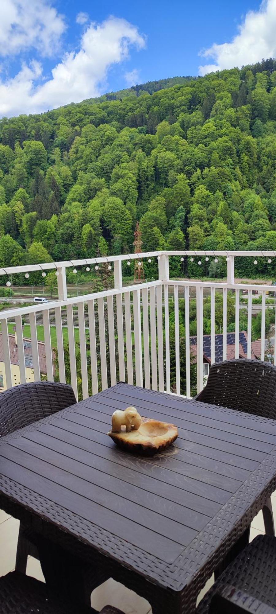Appartement Duplex Belle View Sinaia-Free Parking Extérieur photo