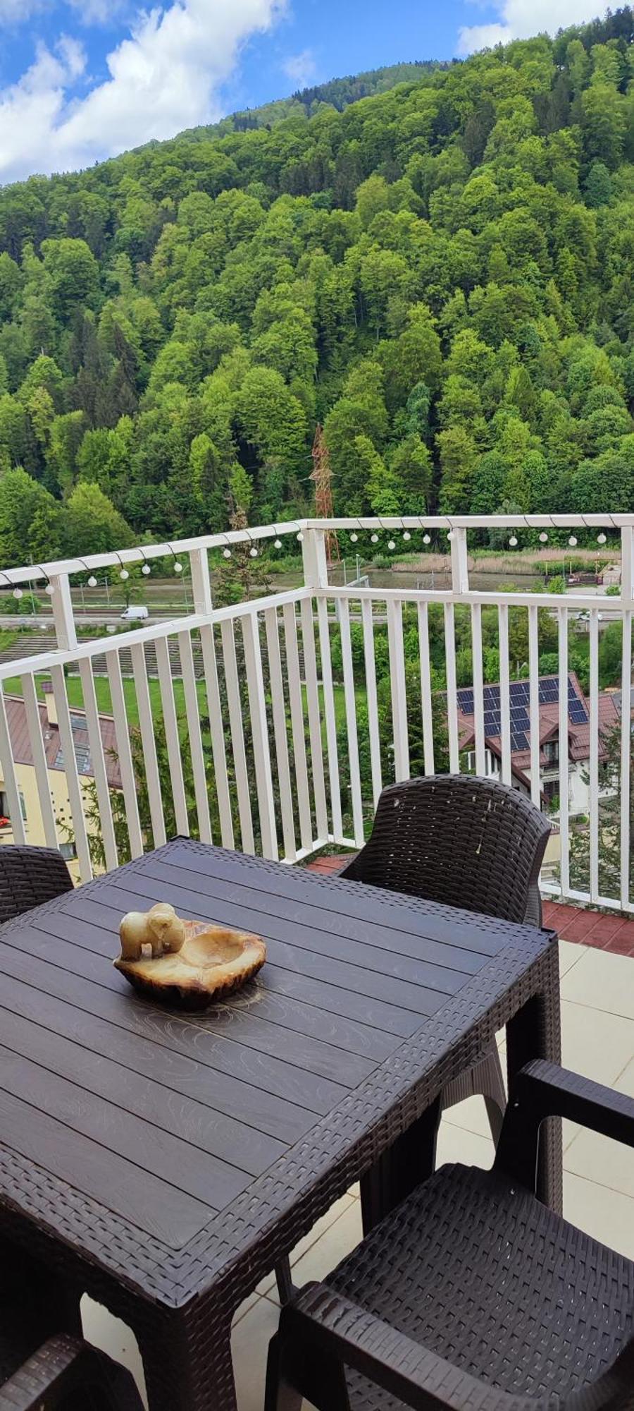 Appartement Duplex Belle View Sinaia-Free Parking Extérieur photo